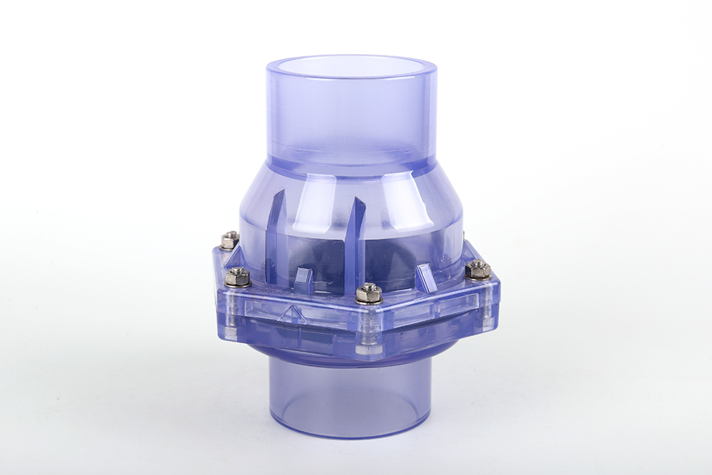 八步透明翻板式止回阀